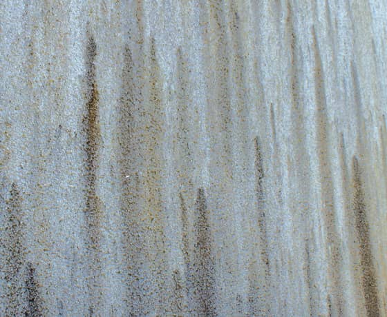 カビ・コケ・ホコリ等汚れが目立ってきた…